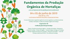 Capacitação integra pesquisadores e multiplicadores no Campus José de Freitas-PI