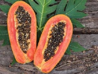 Todos os poderes do mamão: saiba como usar esta fantástica fruta para combater mais de 40 doenças