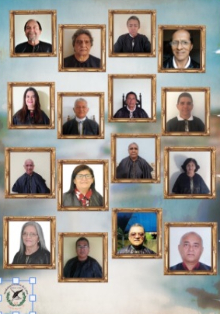 Academia de Letras de José de Freitas nos Festejos de N. S. do Livramento.