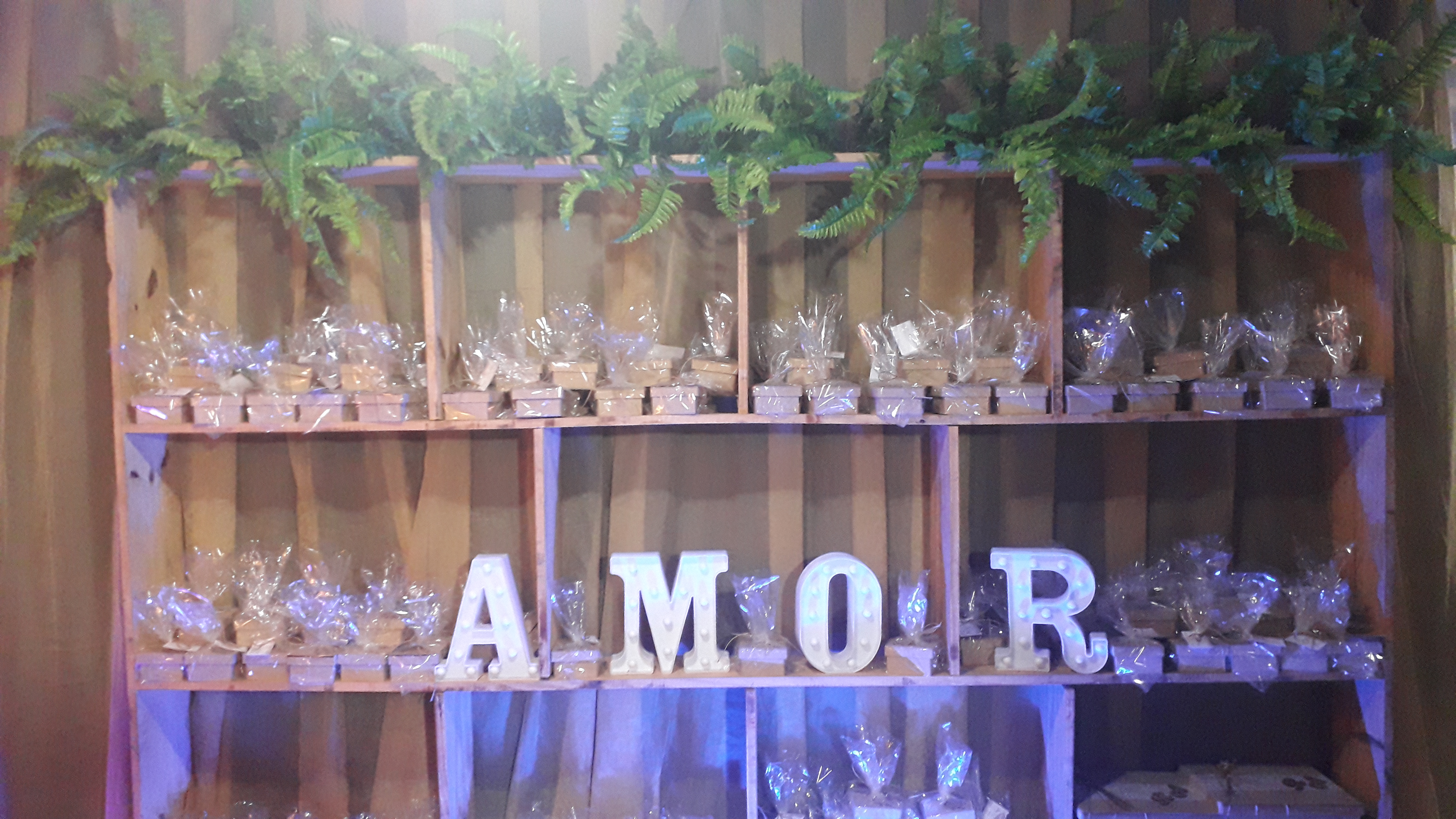 Enlace Matrimonial de Andreia Ferreira & Roberto Viana