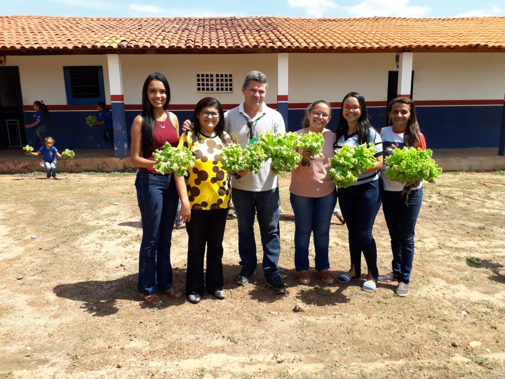 Hortas Pedagógicas de José de Freitas-PI, colhendo os Primeiros Frutos.