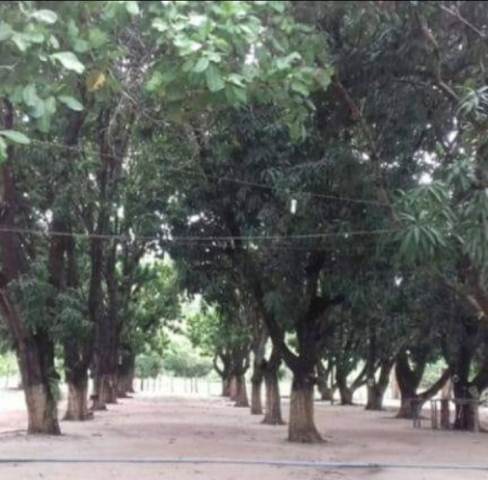 Clube Bandeirantes de José de Freitas abre espaço para novos Sócios Contribuintes.