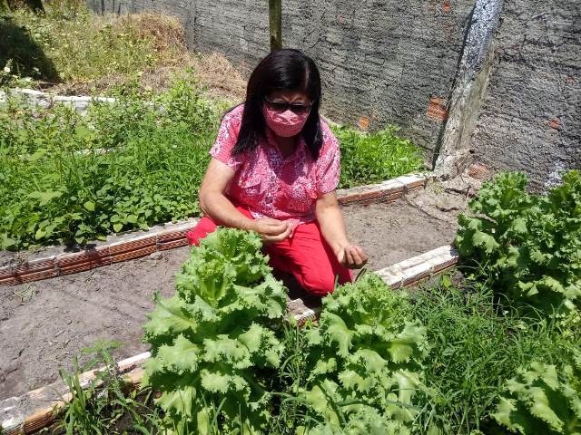 Hortas Pedagógicas no Município de José de Freitas completam um ano de sua implantação.