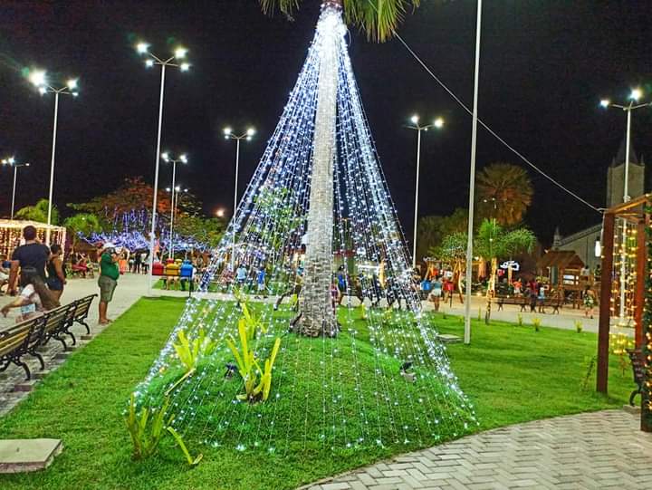 “Árvore de Natal em Família”