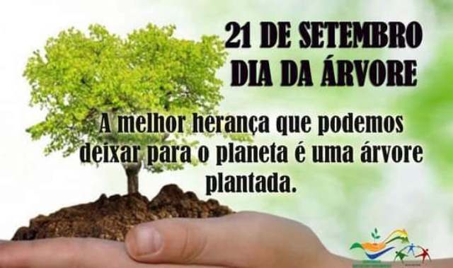 Dia 21 de Setembro é Comemorado o Dia da Árvore