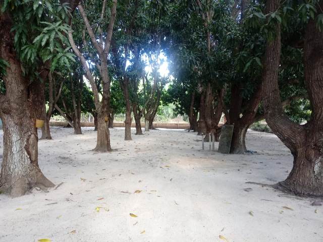 Clube dos Bandeirantes Realiza Festividade em Comemoração ao Dia da Criança