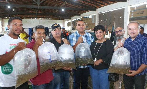 STTR de José de Freitas Promove Ações de Apoio a Agricultura Familiar