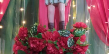 Comunidade Deus da Vida Celebra Tríduo a Santo Expedito