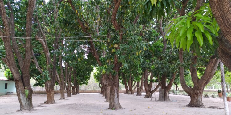 Clube dos Bandeirantes Realiza Dia de Lazer em Comemoração ao Dia do Trabalhador