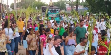 Igreja Católica Celebra Neste Domingo (24) a Bênção com Procissão dos Ramos