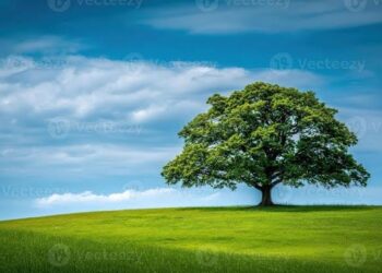 🌳 21 DE SETEMBRO – DIA DA ÁRVORE