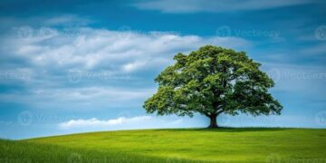 🌳 21 DE SETEMBRO – DIA DA ÁRVORE